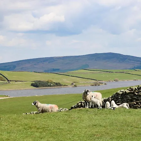 3 Hull House Casa de Férias